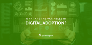 What Are the Variables in Digital Adoption